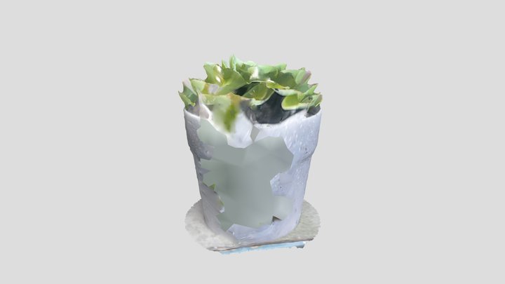 Succulent Photoscan 3D Model