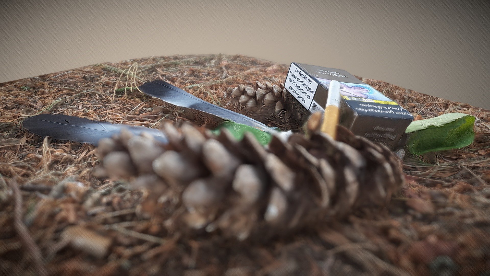 photogrammetry Test Scene