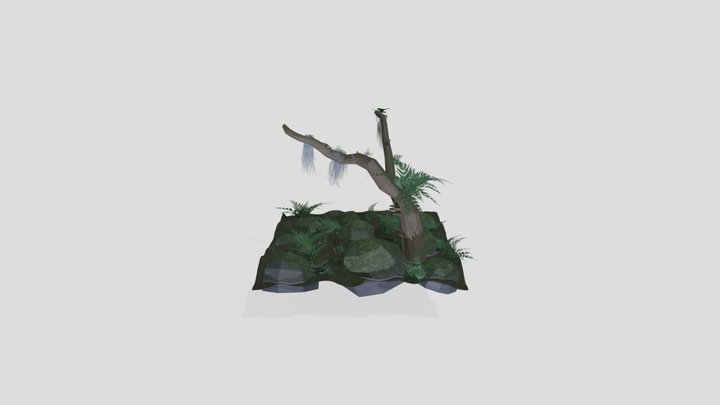 Temperate Rainforest Scene 3D Model