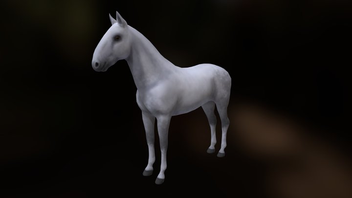 Kladruber Horse 3D Model