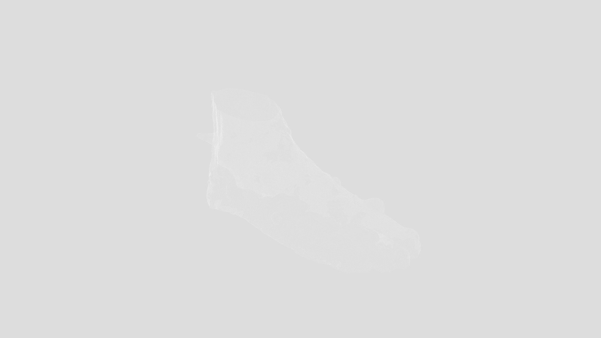Worty Foot