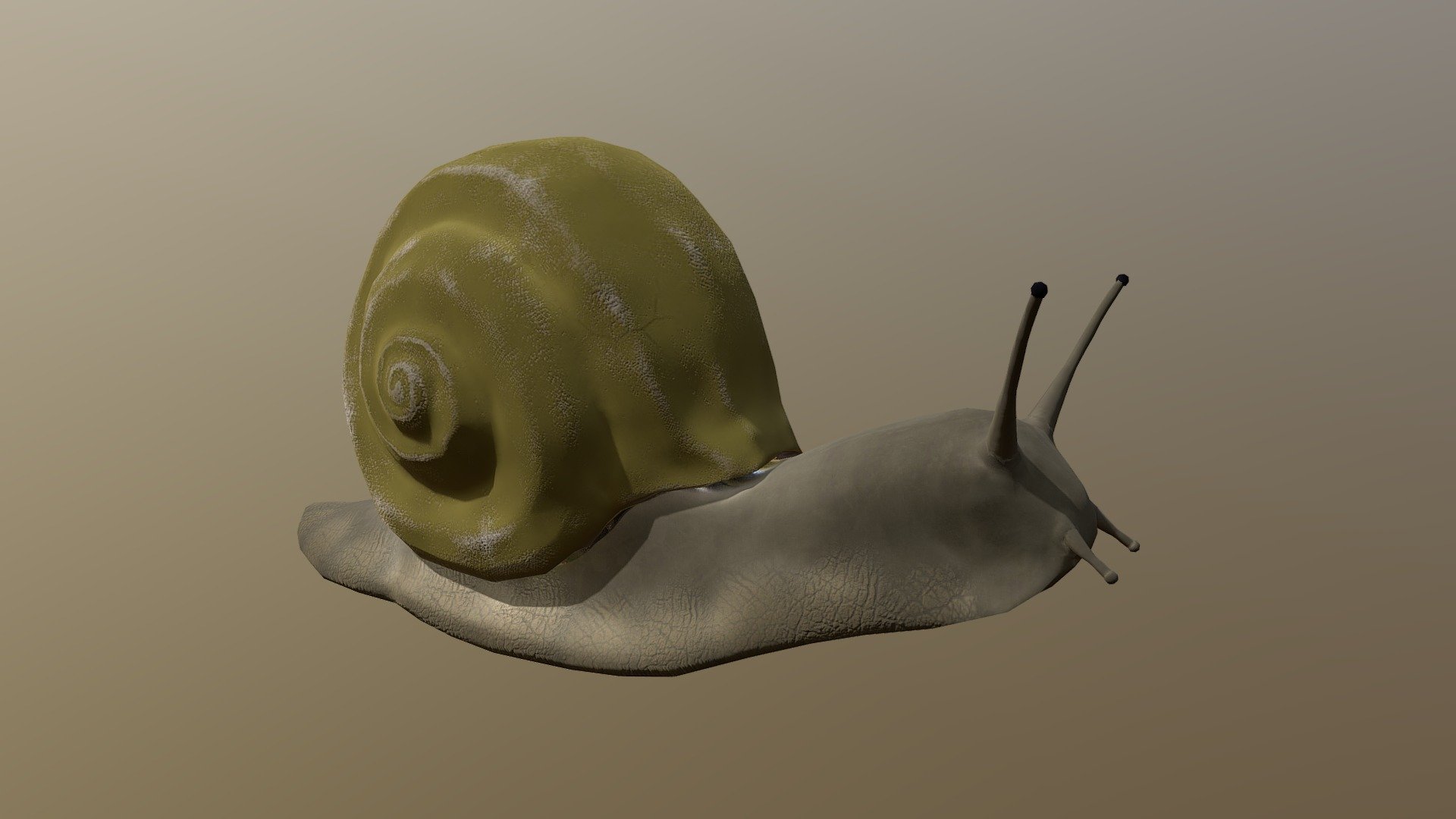 Snail - Download Free 3D model by HeavenlyGnochi [871265e] - Sketchfab
