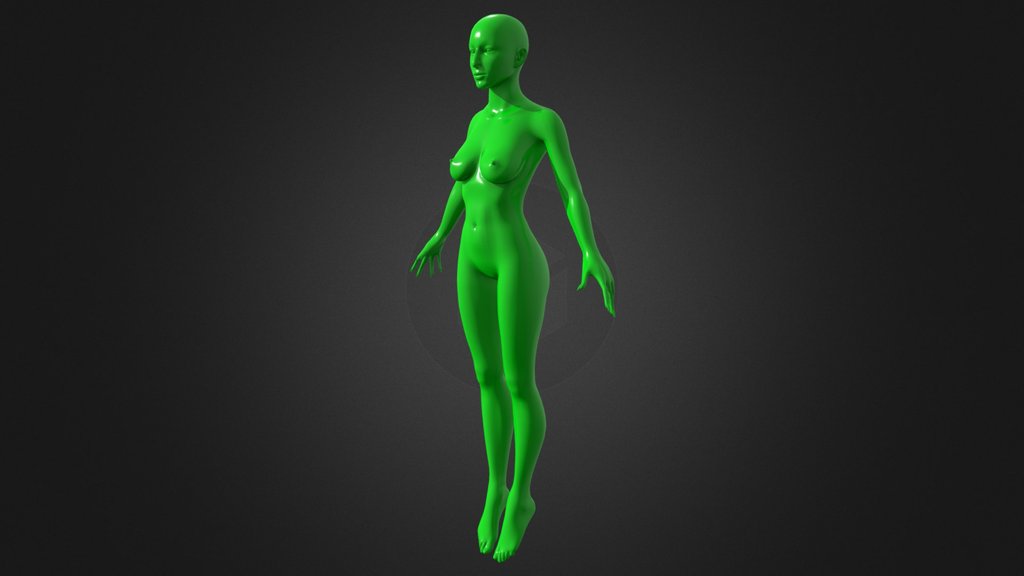 Realistic Female Body
