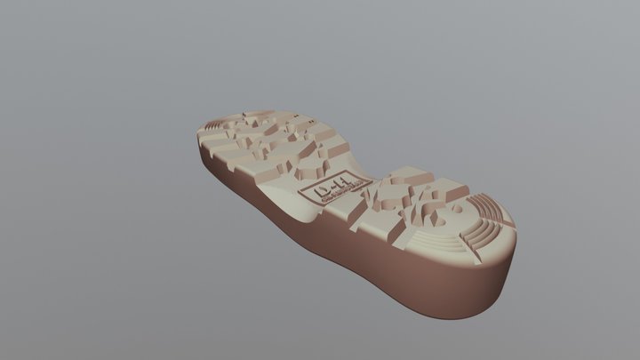 Vẽ Giầy 3D Model