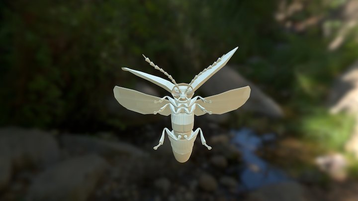 Firefly low poly 3D Model