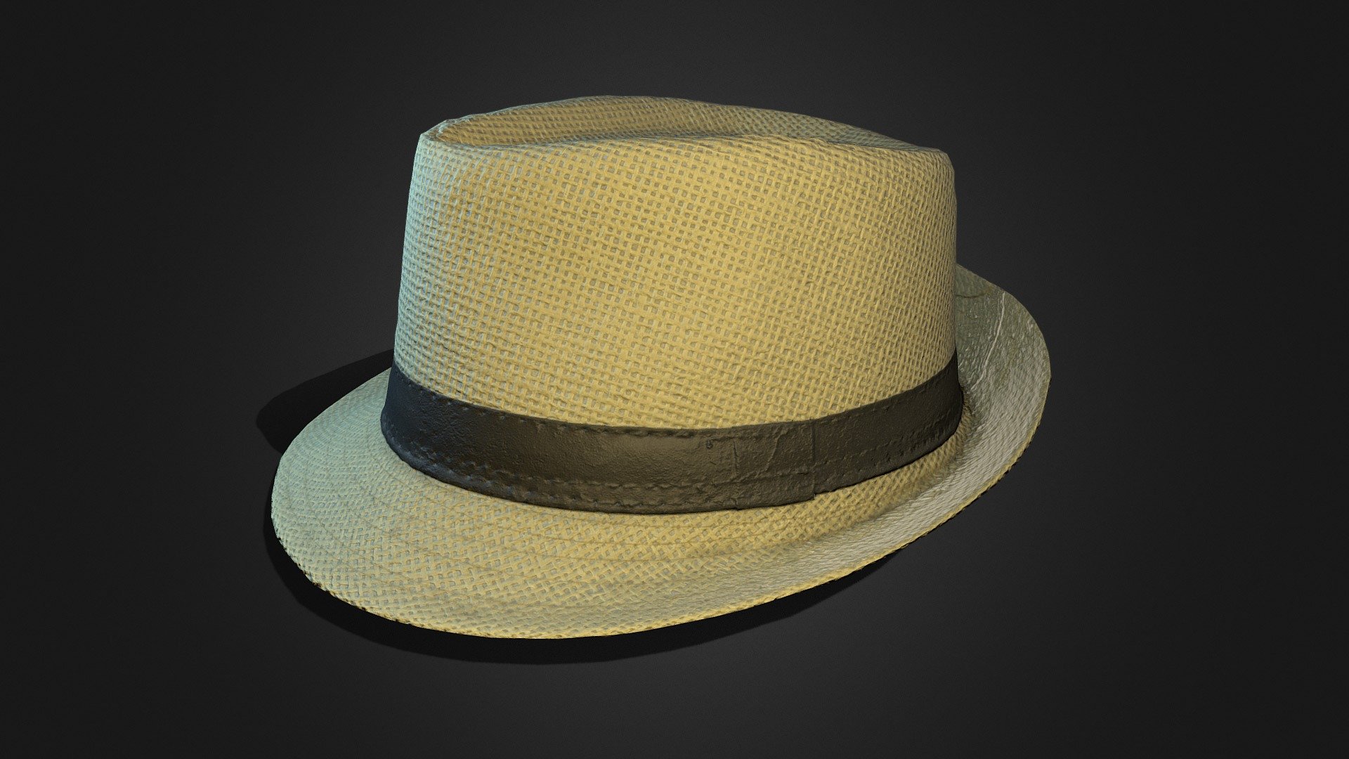 Panama Hat - Buy Royalty Free 3D model by Gewoelbe3DScan ...