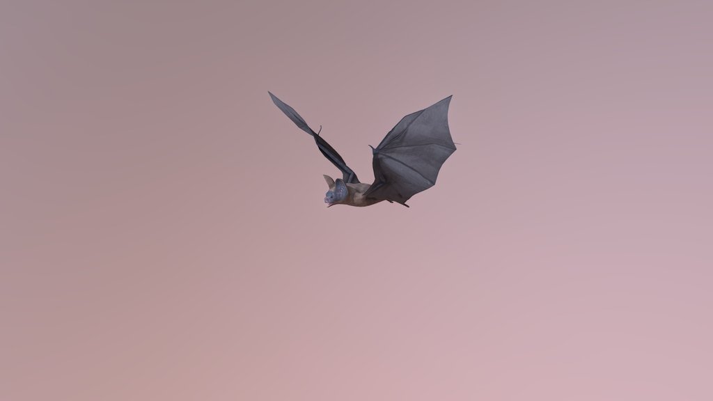 Bat