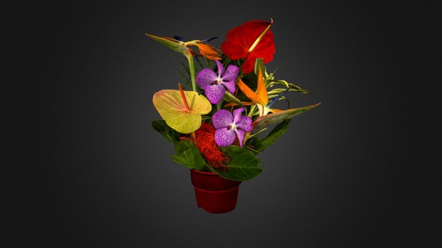 Bouquet de fleurs tropicales 3D Model