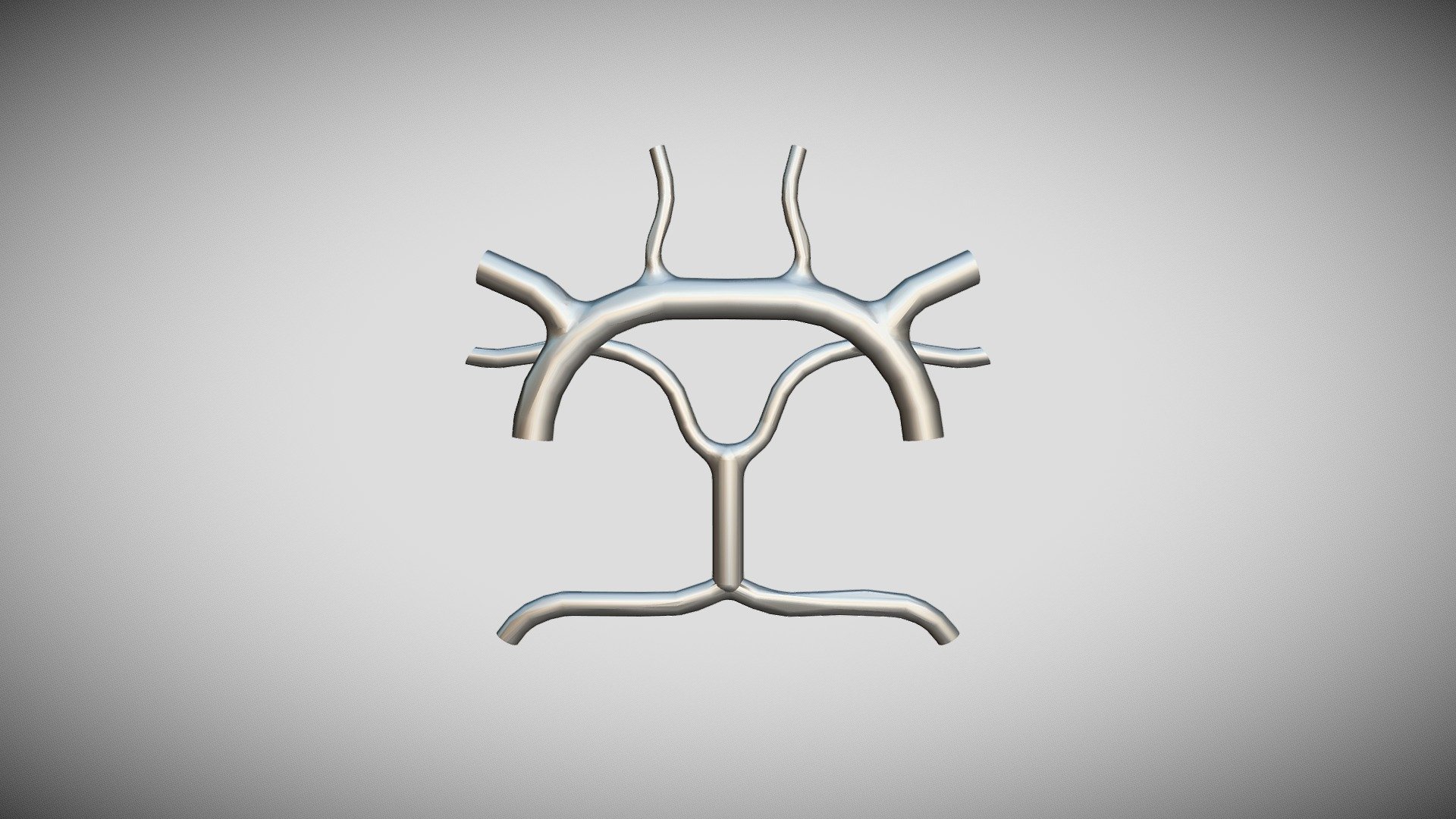 Circle Of Willis