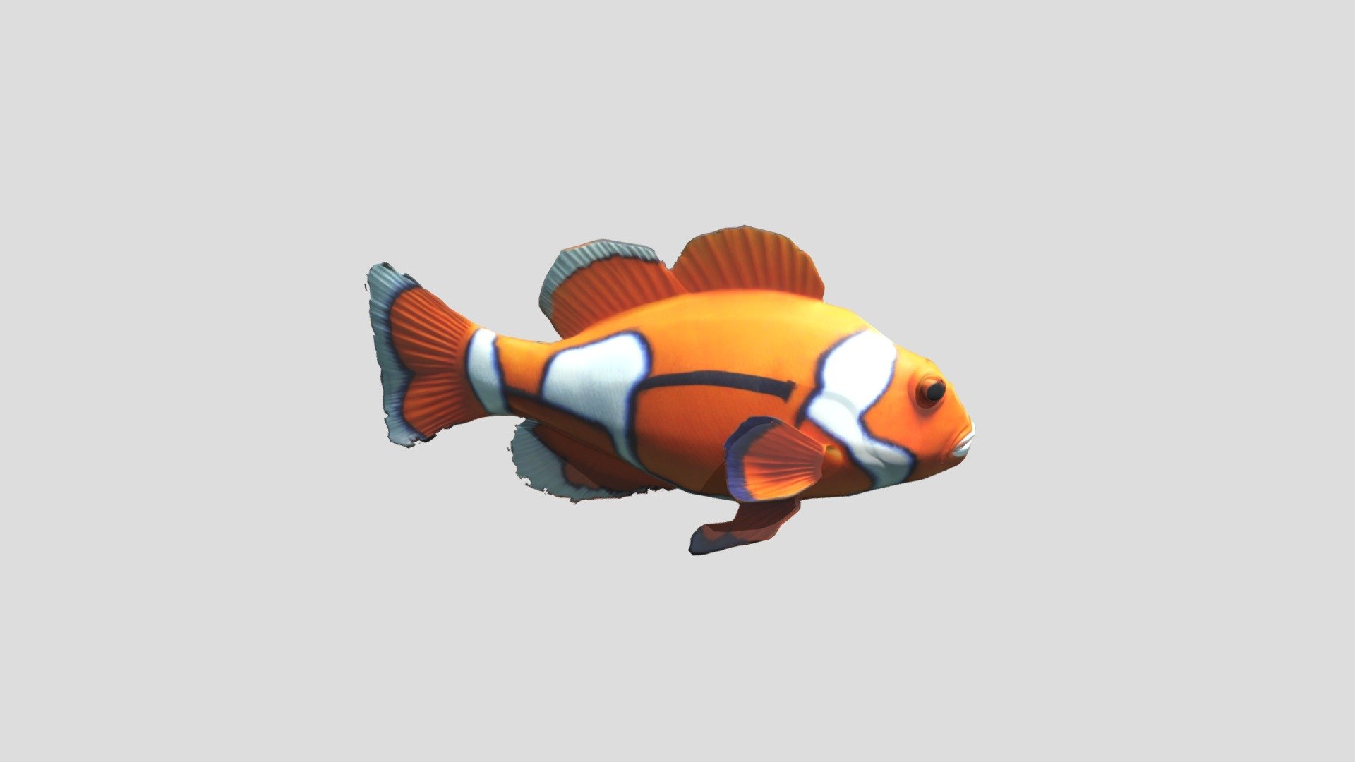 low poly clown fish - 3D model by renetuskocz [872024f] - Sketchfab