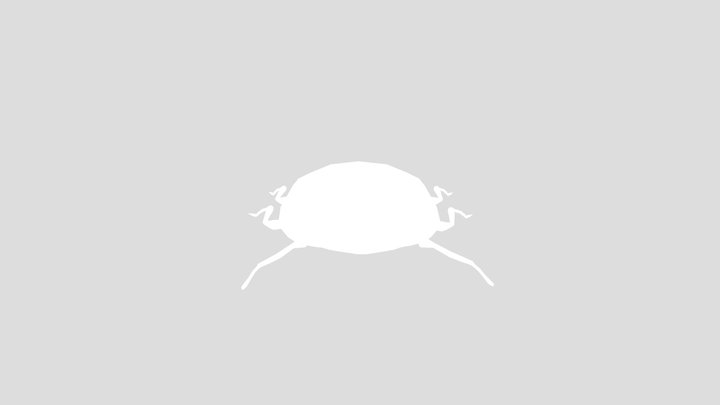 Wild Bug