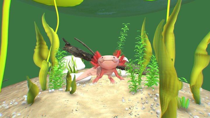 Axolotl 3D Model
