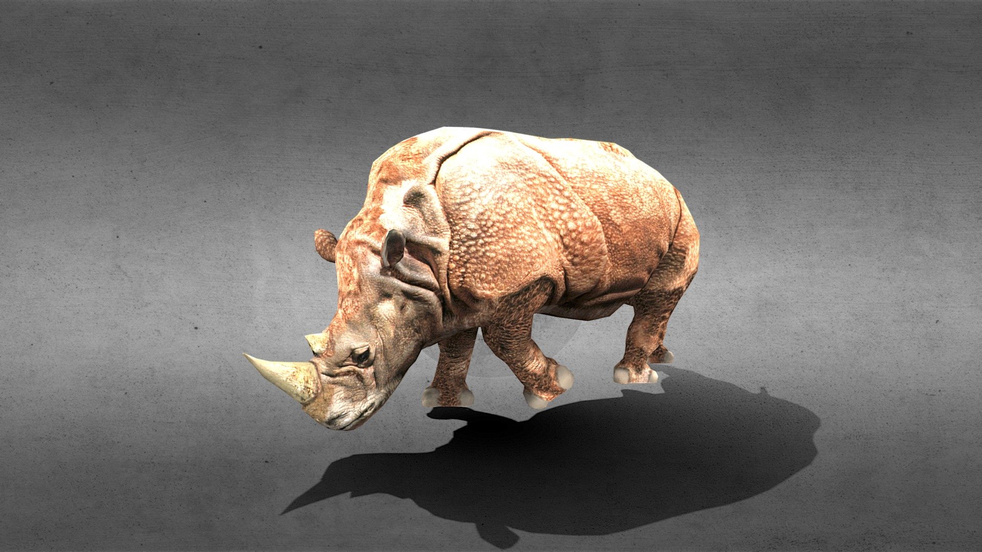 rhinoceros-with-walk-run-attack-idle-animations-download-free-3d