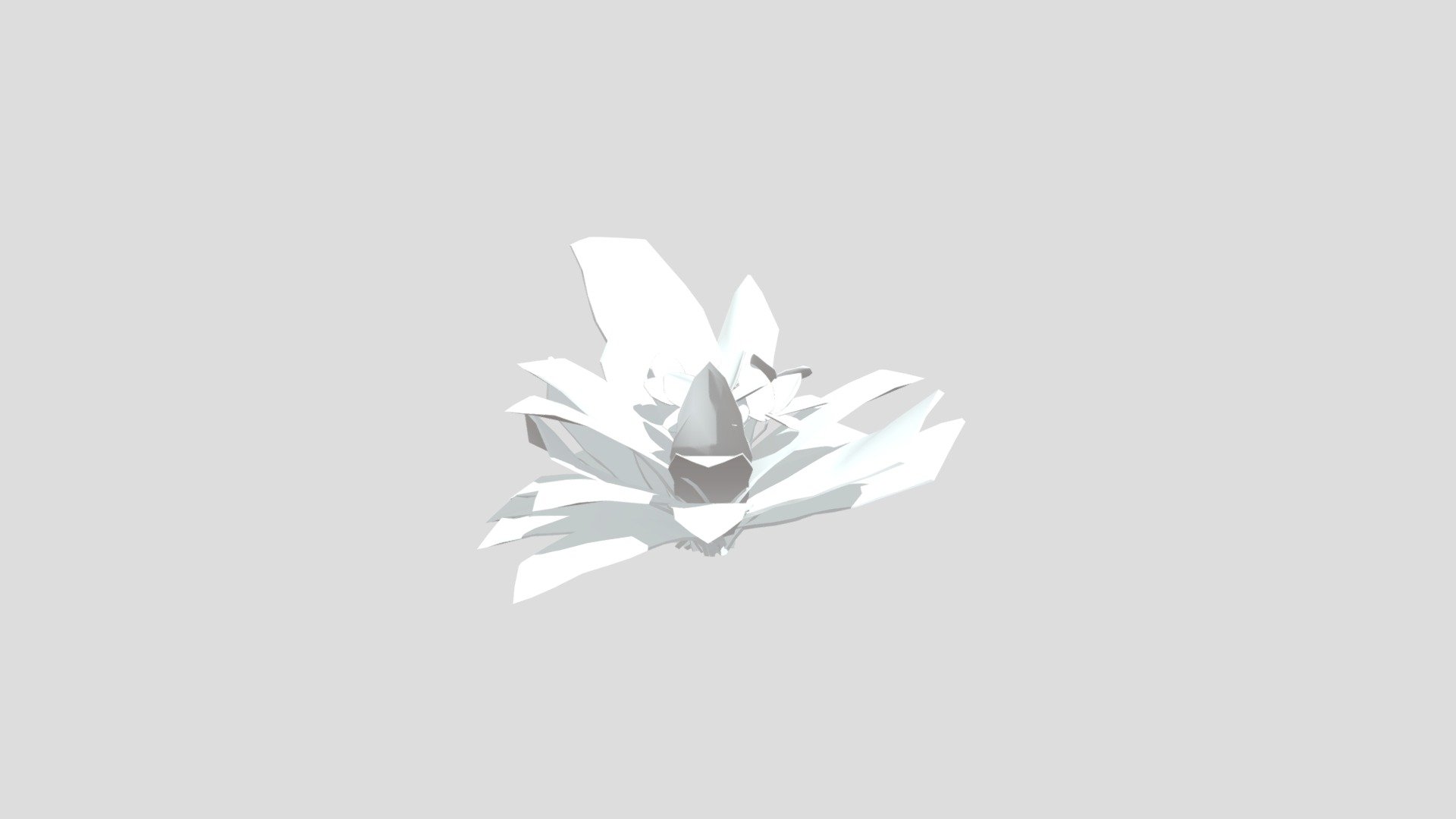 White Orchid