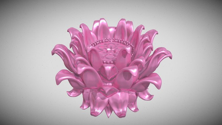 lotus 3 3D Model