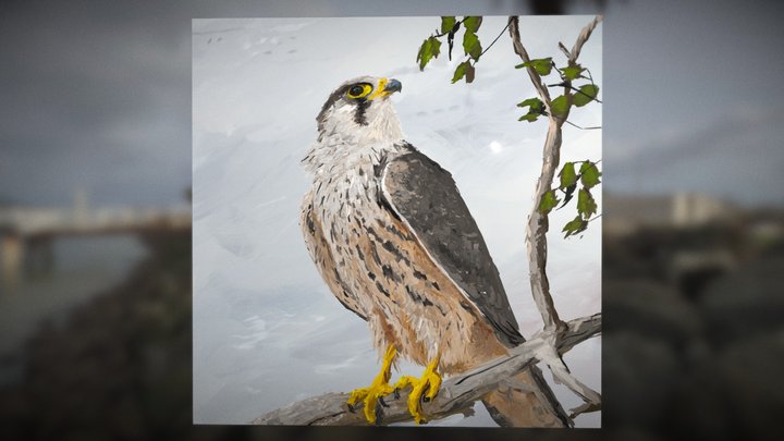 Falcon Branch 3D Model