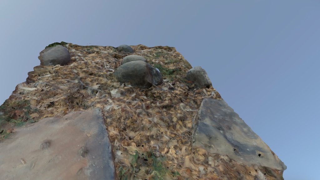Patch with river rocks and wood chips - 3D model by Larseroo [872a813 ...