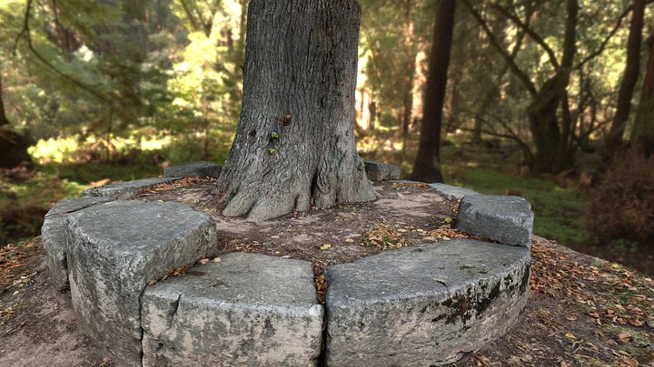 realistic tree trunk with stones – Modèle 3D gratuit STL