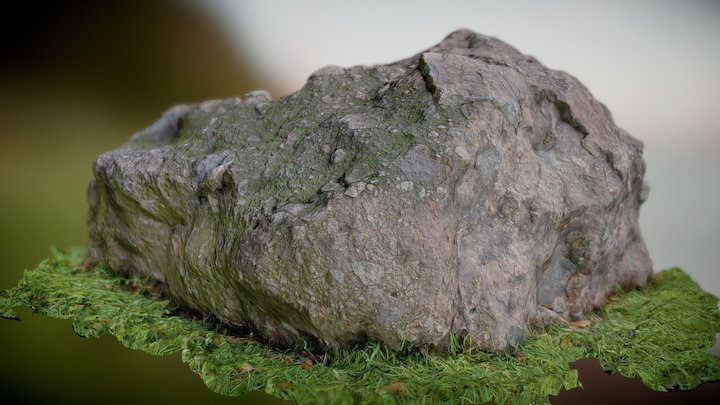 Rock Photogrammetry Scan 3D Model
