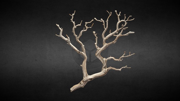 Dead+tree+branch+3d+model 3D Model