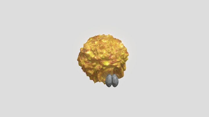 S E E D Chi1d 3D Model