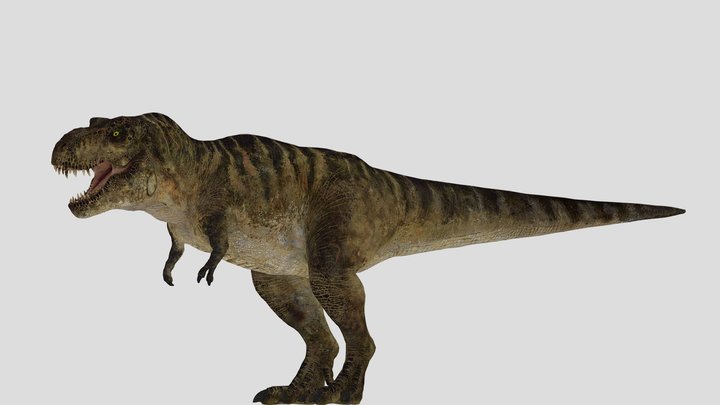 Ember the Tyrannosaurus rex – Gratis 3D-model STL