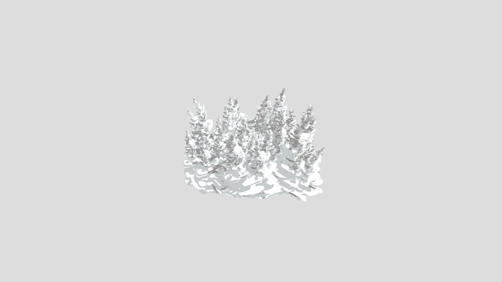 Astilbe White Rose