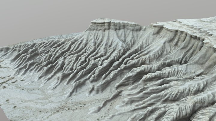 T 3D Model