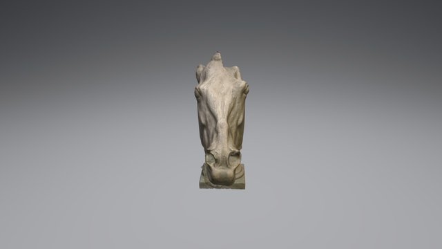 Horse of Selene 3D Model