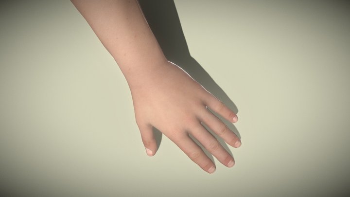 mão base 3D Model