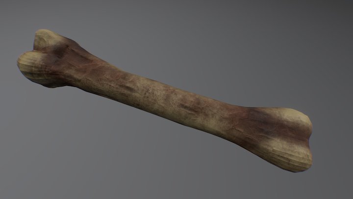 Bone - Textured – Modello 3D gratuito STL