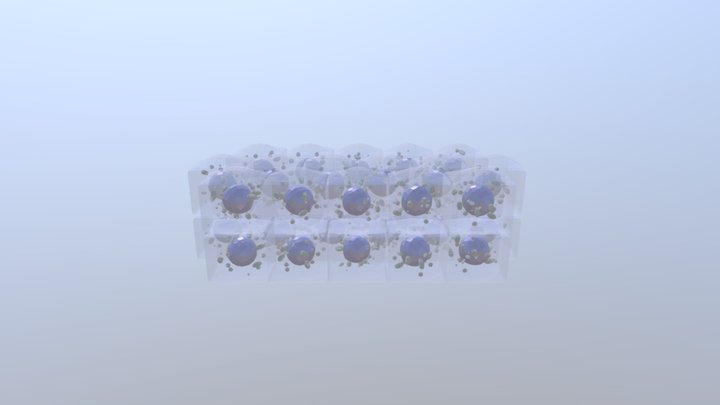 Epithelium Statified Cuboidal Obj2 3D Model