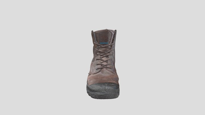 palladium_leather_boots_scan 3D Model