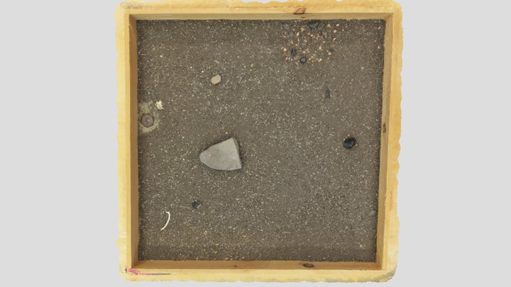 Prehistoric Layer (No Annotation) 3D Model