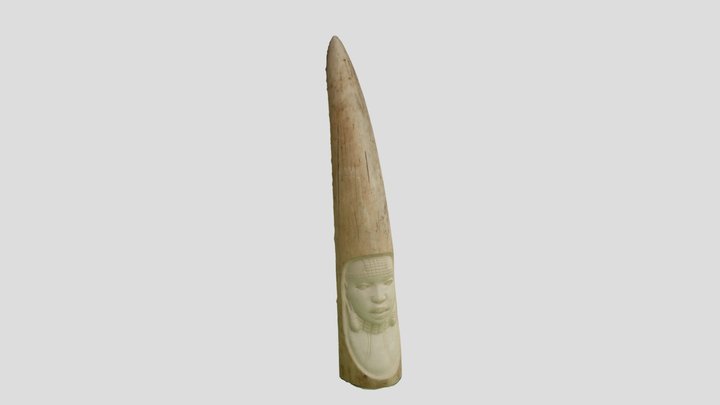 Ivory Tusk Face 3D Model