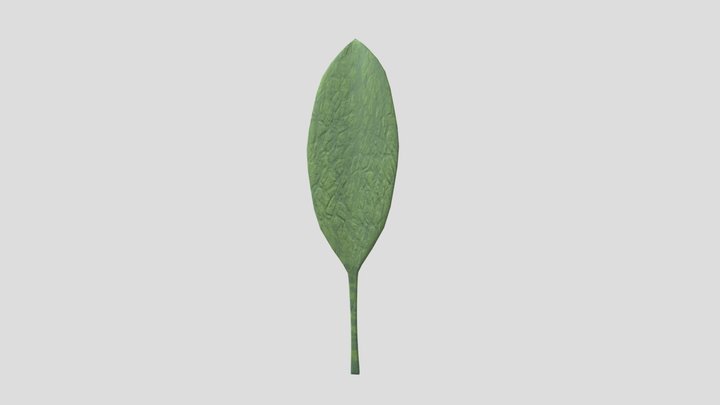 Leaf Pick Up 3D Model