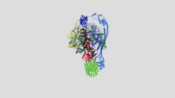 pdb protein ADP TO ATP 3D Model