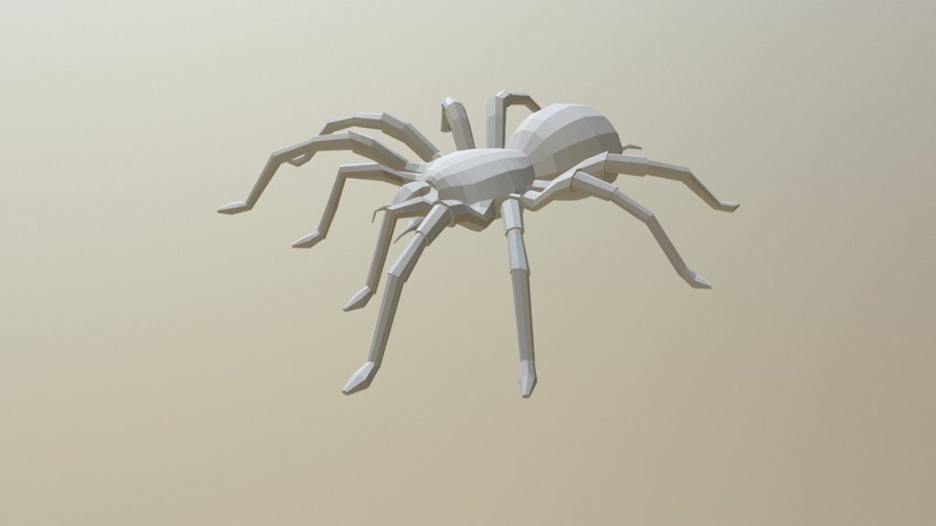 Spider Base Mesh