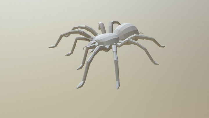 Spider Base Mesh 3D Model