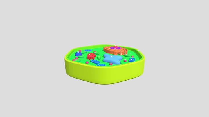 bio project: plant cell 3D Model