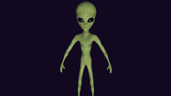Realistic Alien Lowpoly 3D Model