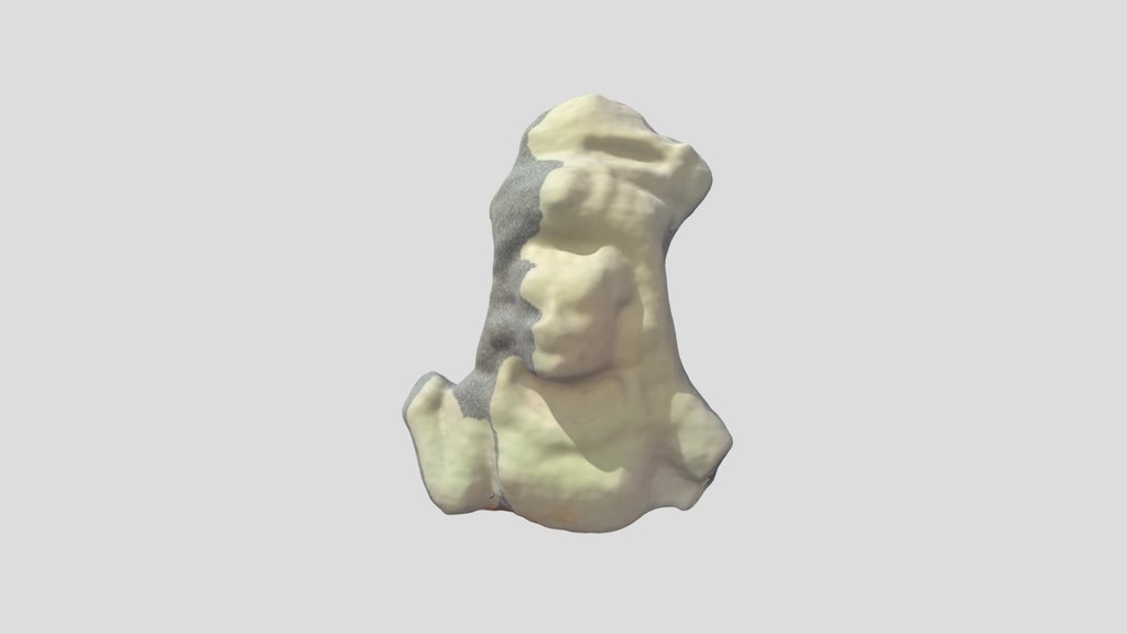 ANTH 4997_ Todd_ocarina 60 AAA
