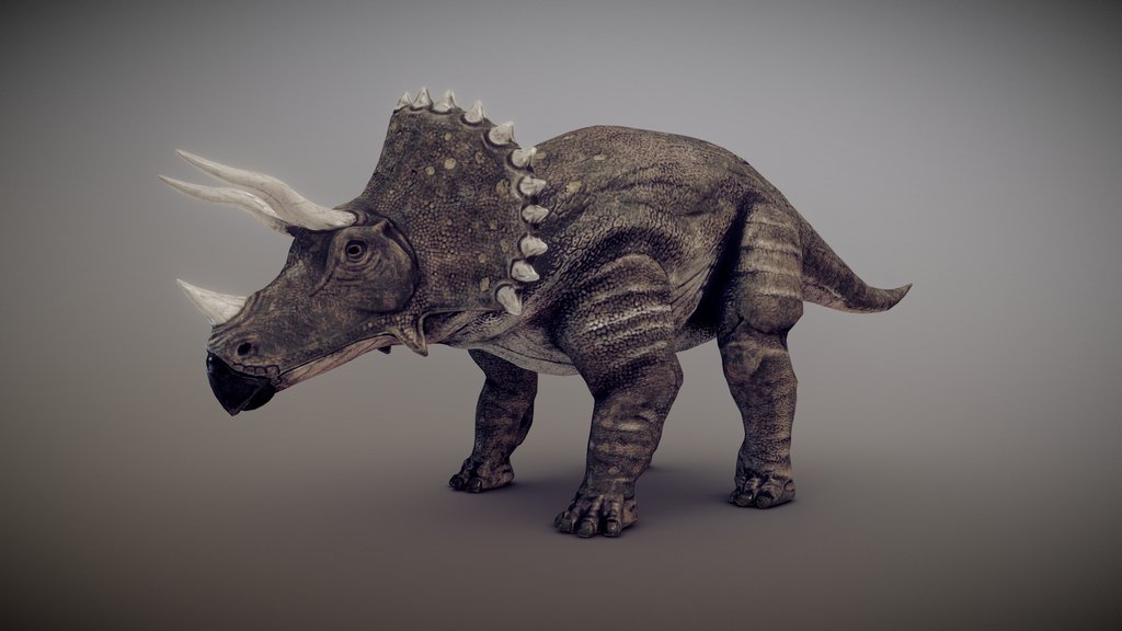 Triceratops dinosaur