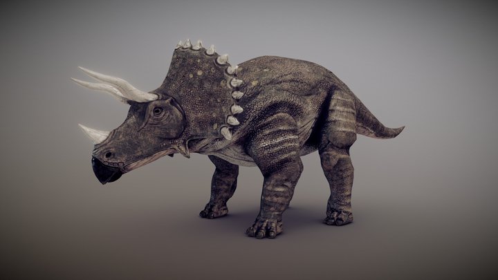 Triceratops dinosaur 3D Model