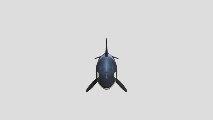 PC Computer - Happy Feet - Orca 3D Model