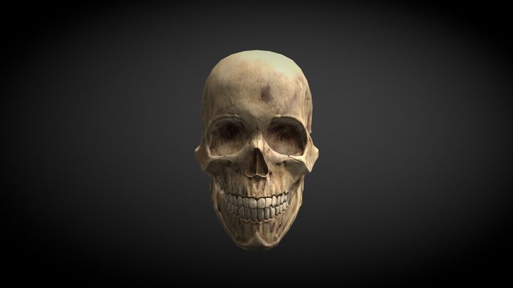 Skull_01a 3D Model