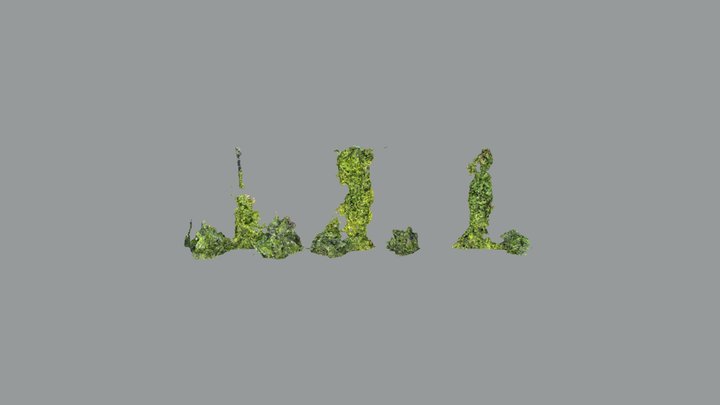 Growing leaves 3D Model