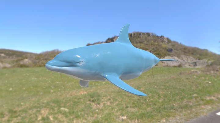 dolphine test 3D Model