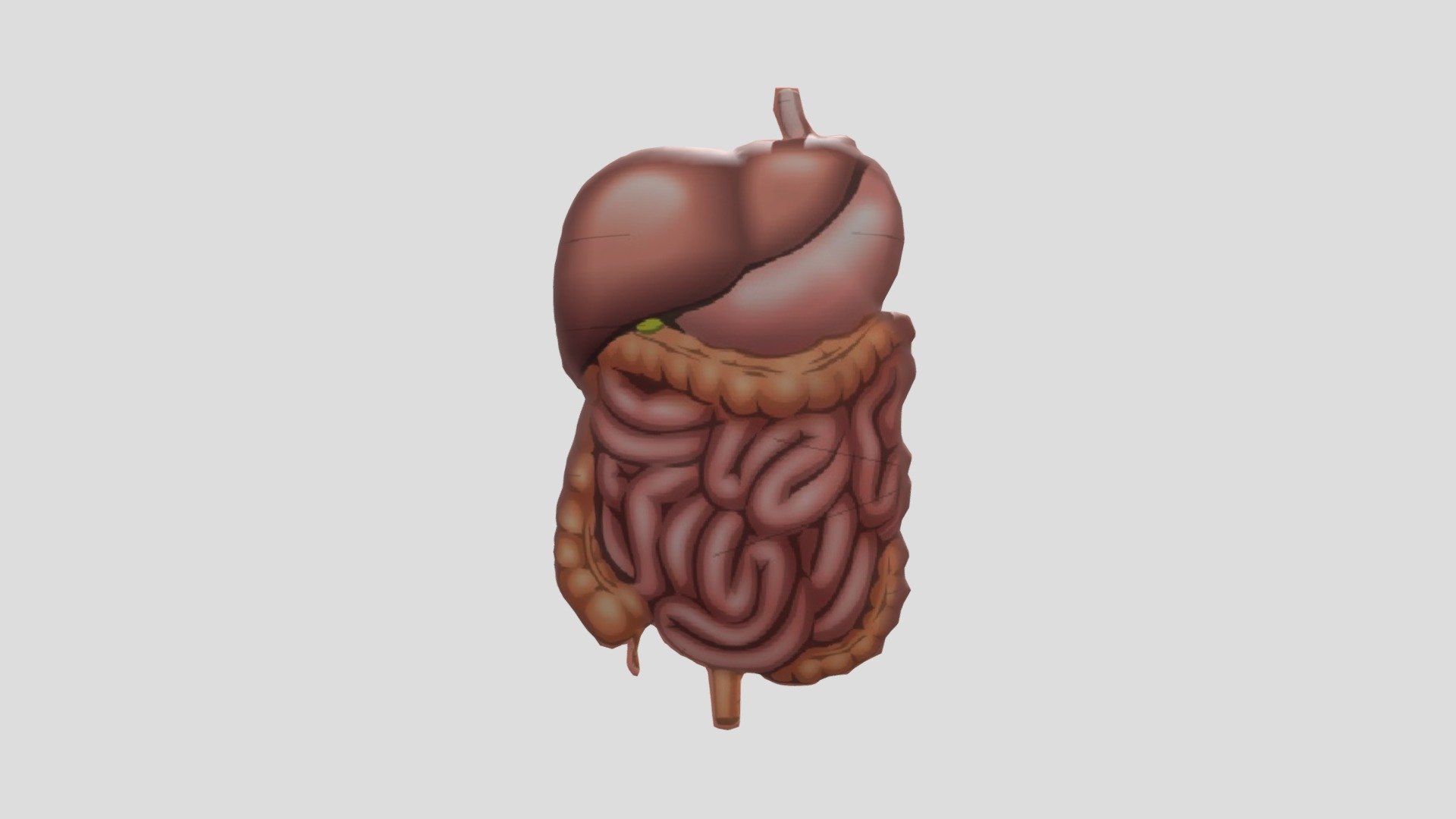 cintai ususmu - 3D model by Fenyrahmah [87611a3] - Sketchfab