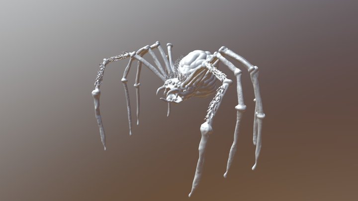 Test Spider Model - Medium Export 3D Model